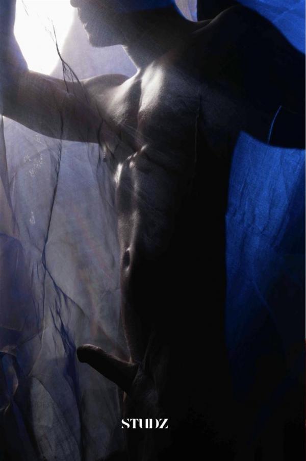 STUDZ-01--Zesty--Ebook--Video-